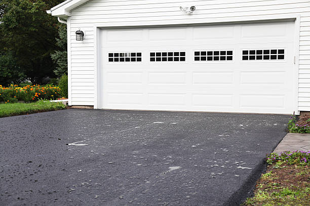 Best Hoarding Cleanup  in Ogdensburg, NY