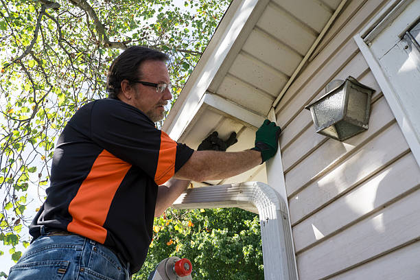 Best Carpet Removal and Disposal  in Ogdensburg, NY